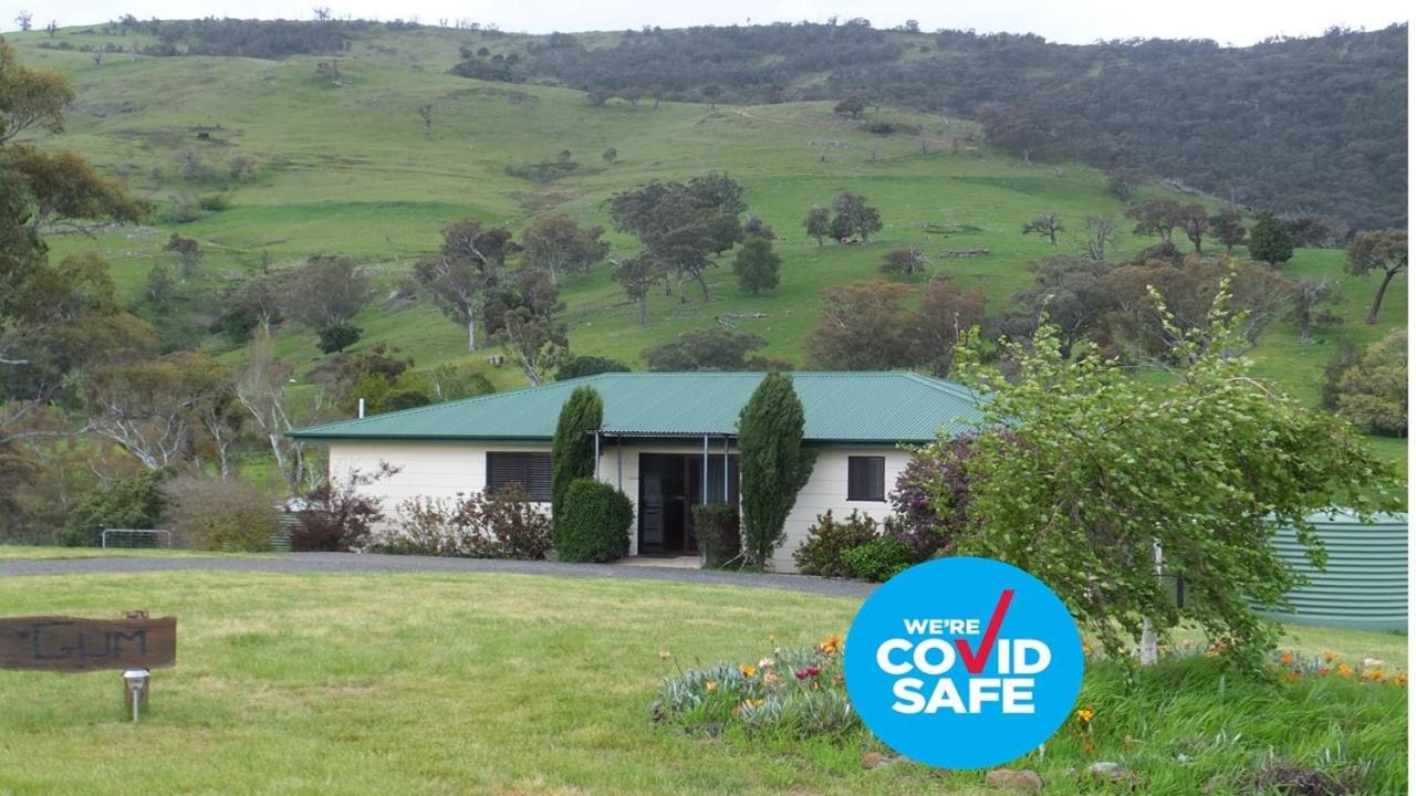 Elm Cottage Tumut Bagian luar foto