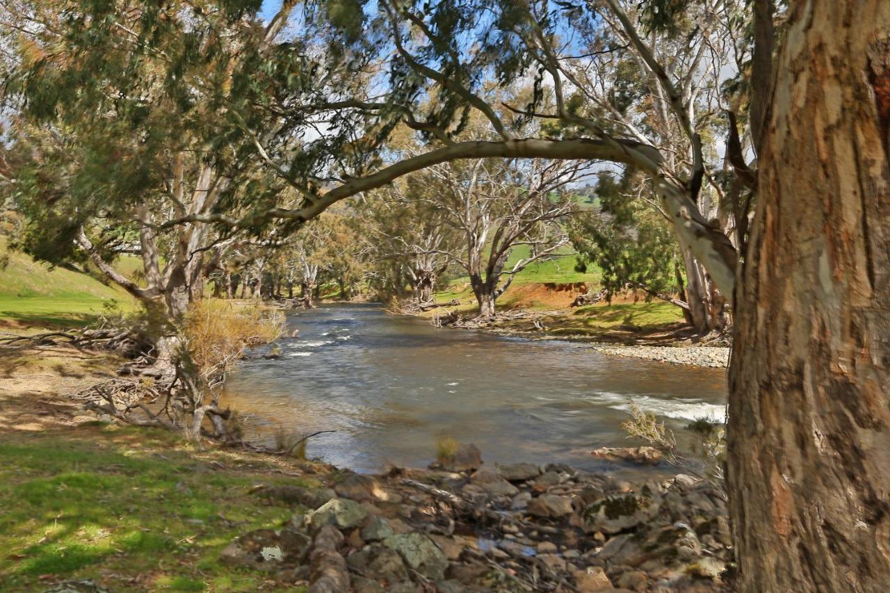 Elm Cottage Tumut Bagian luar foto