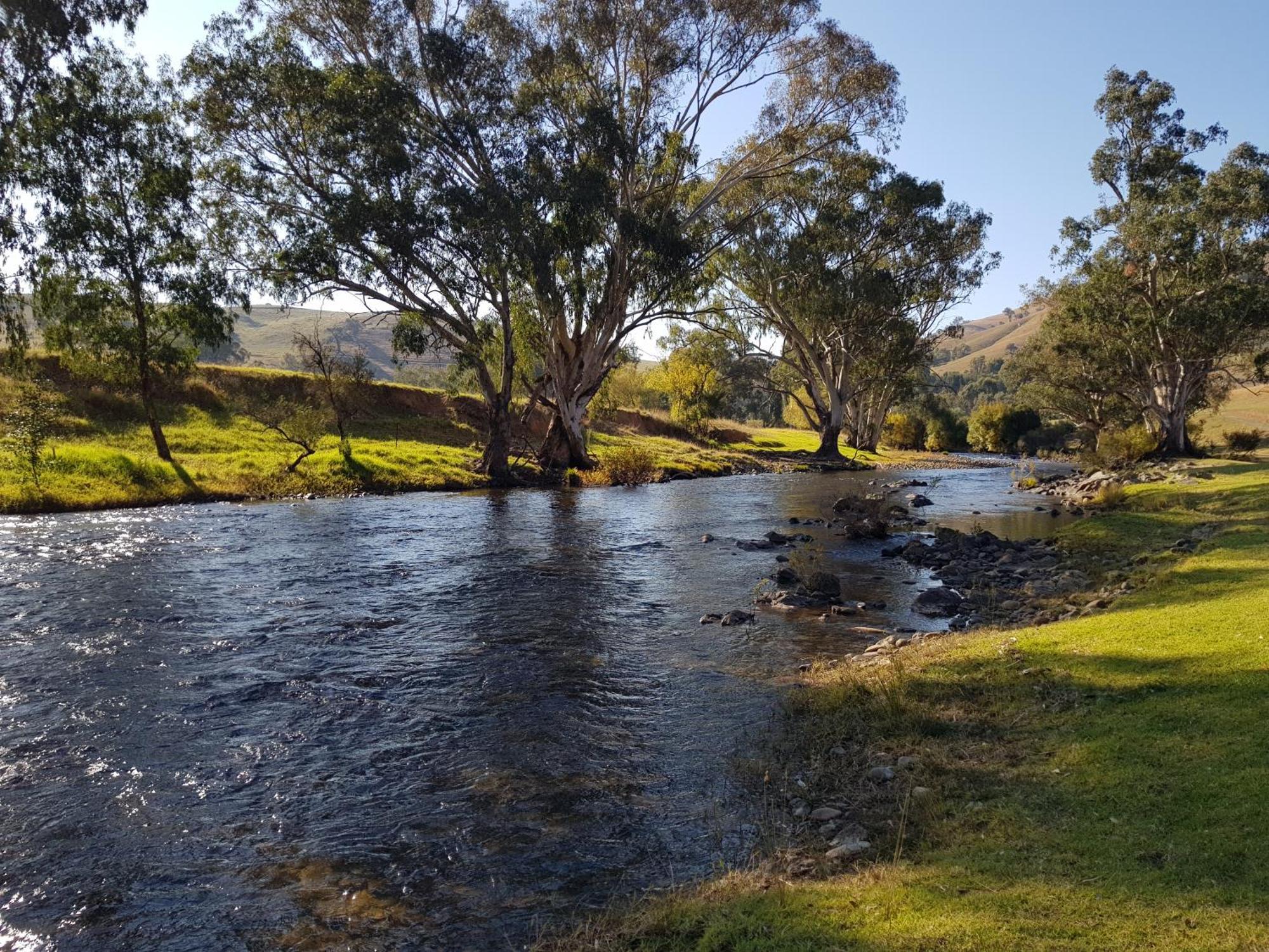 Elm Cottage Tumut Bagian luar foto