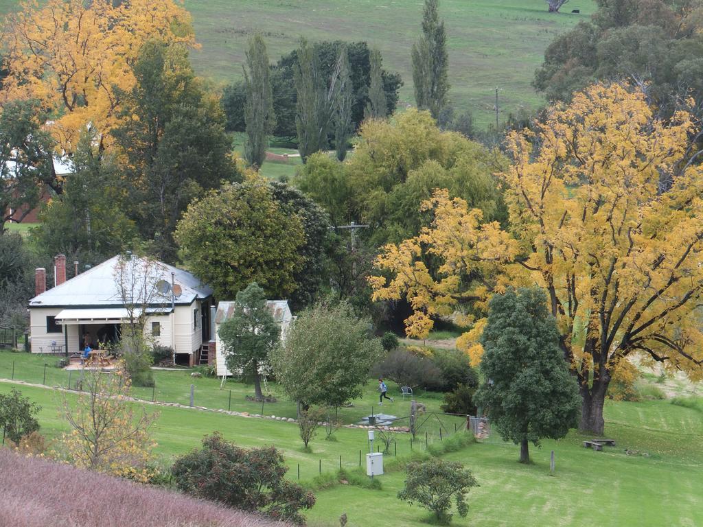 Elm Cottage Tumut Bagian luar foto
