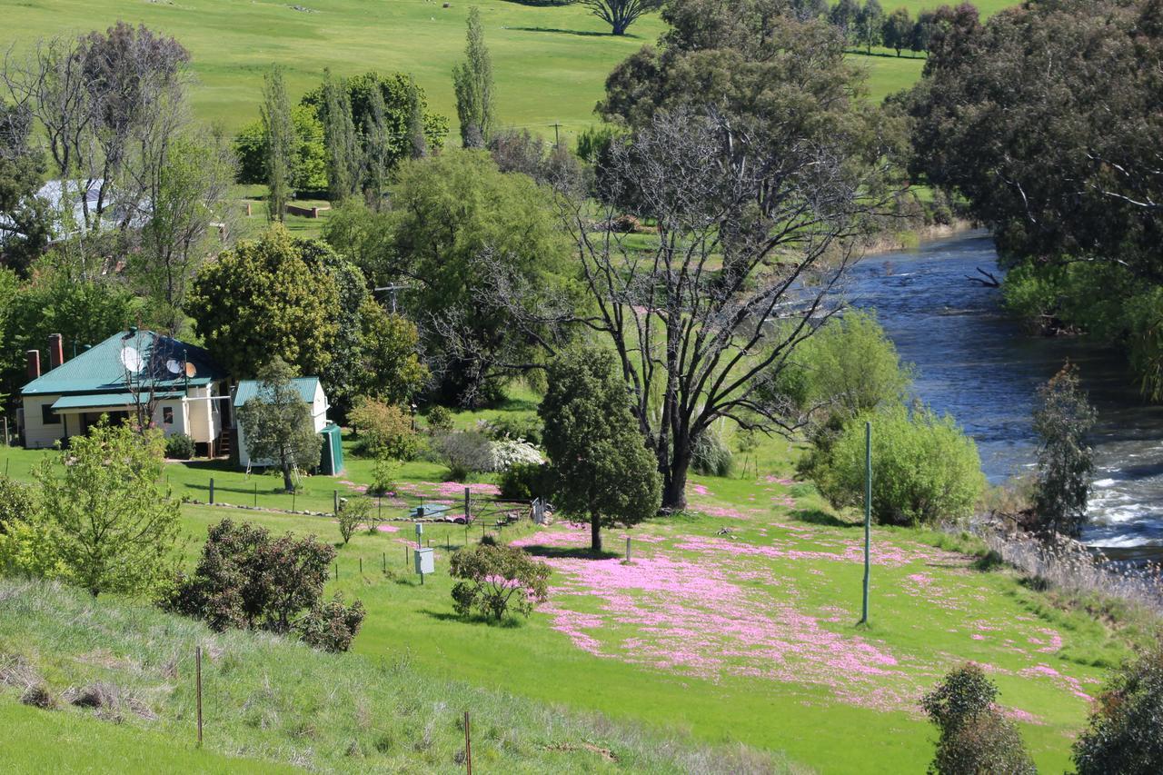Elm Cottage Tumut Bagian luar foto